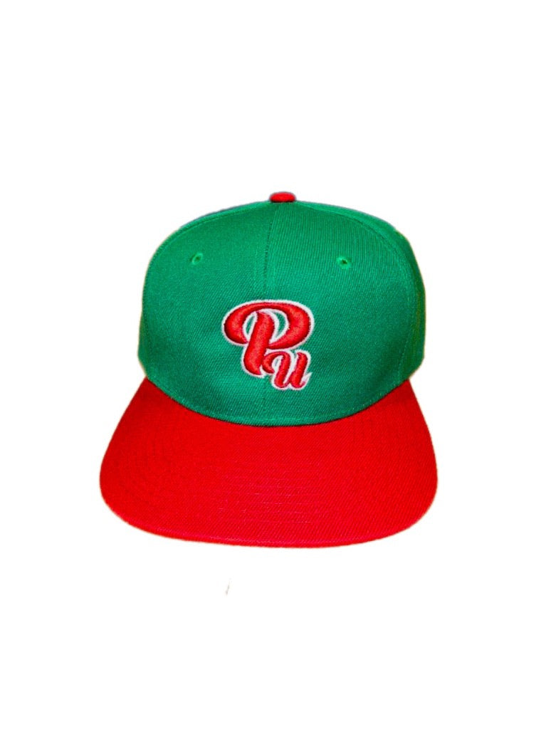 Paradon Logo Snapback