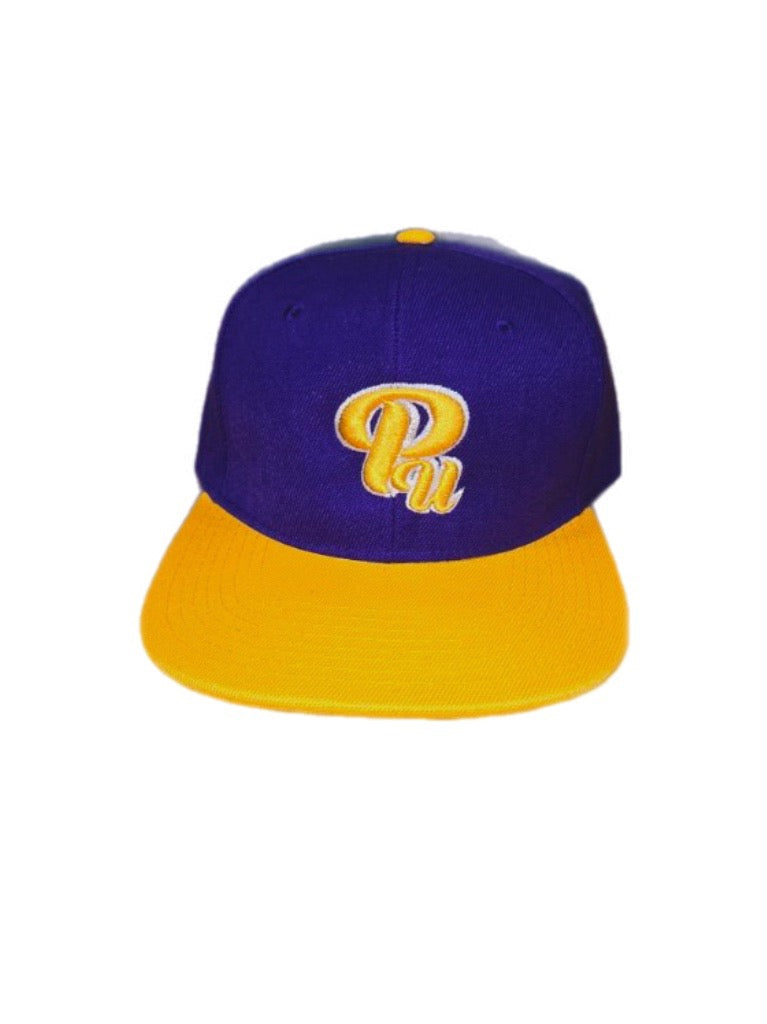 Paradon Logo Snapback