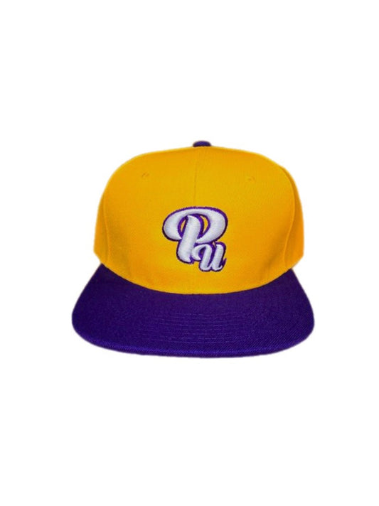 Paradon Logo Snapback