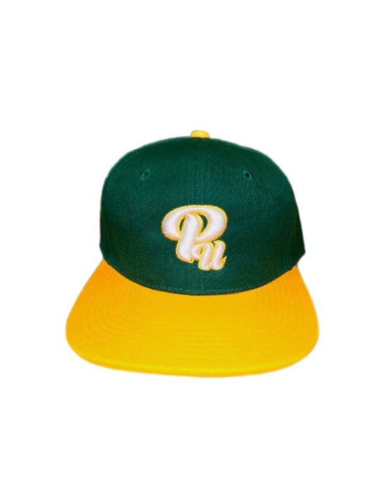 Paradon Logo Snapback