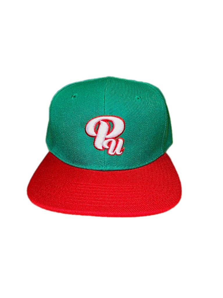 Paradon Logo Snapback