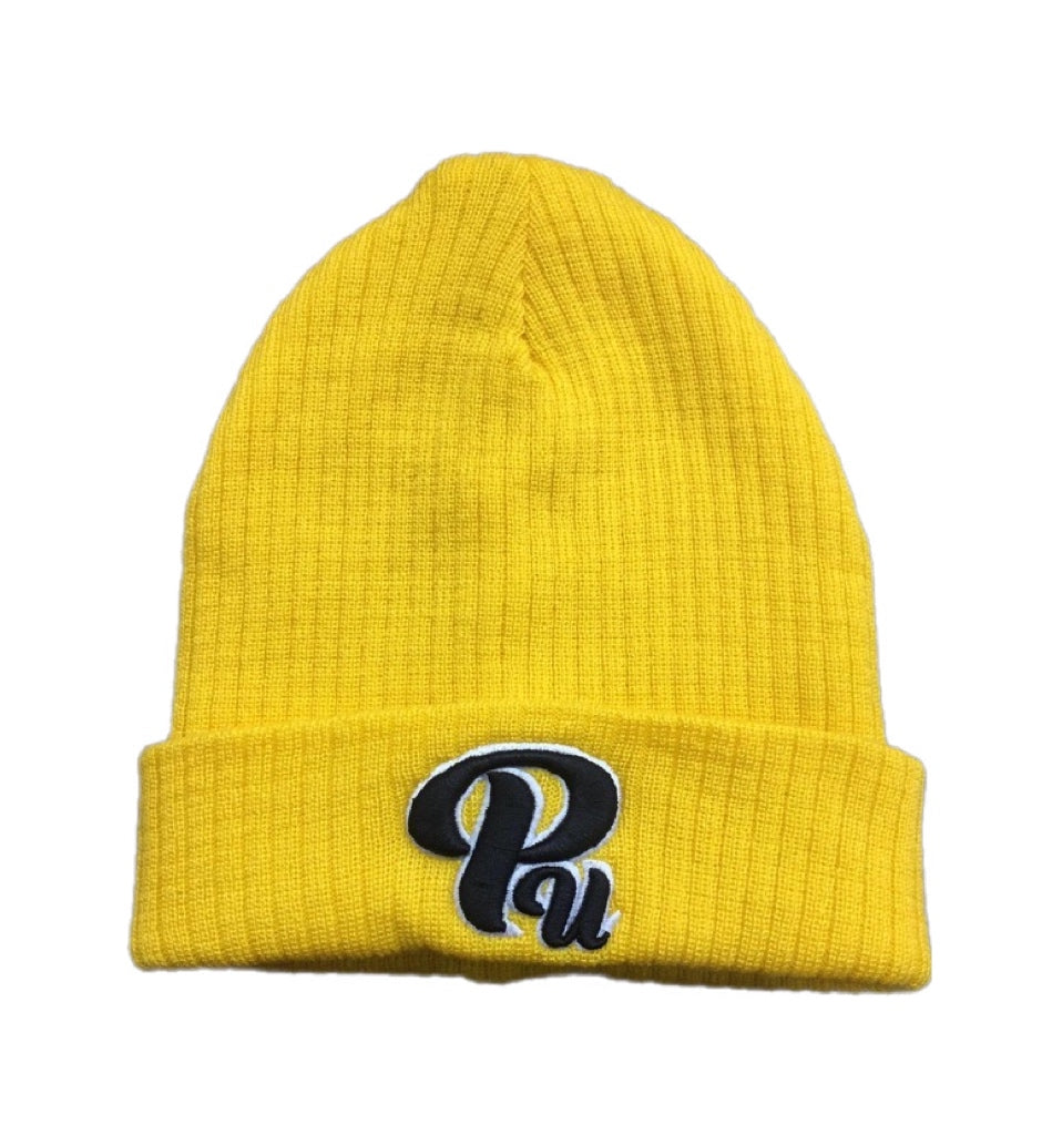 Paradon Logo Skull Cap