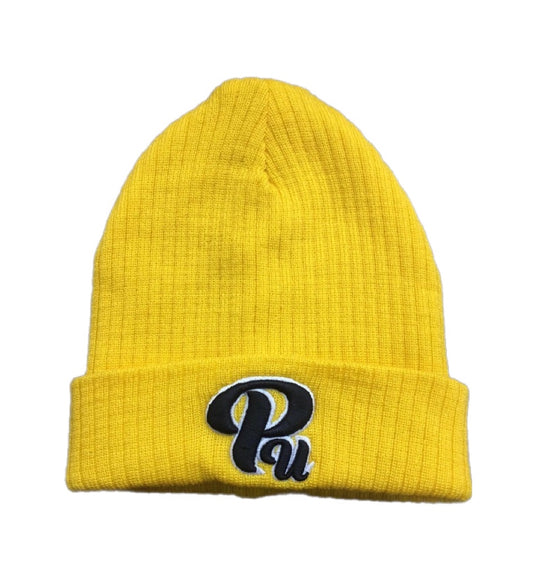 Paradon Logo Skull Cap