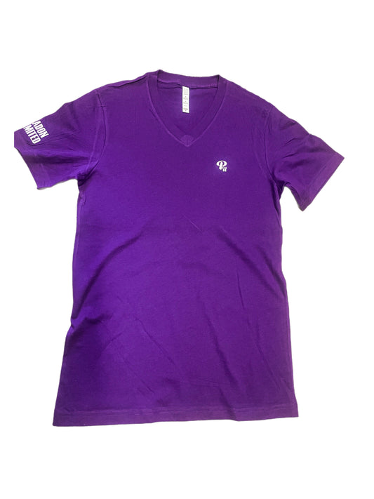 Paradon Casual Vneck(PURPLE )