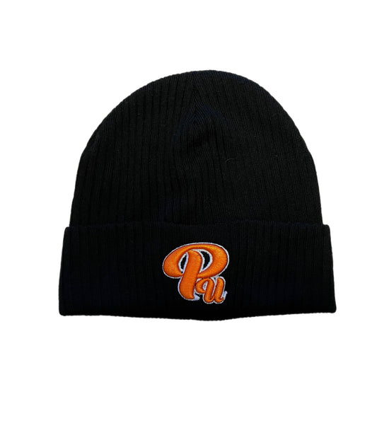 Paradon Logo Skull Cap