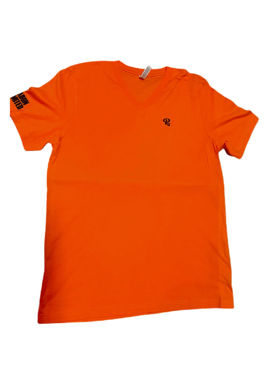 Paradon Casual Vneck(TANGERINE )