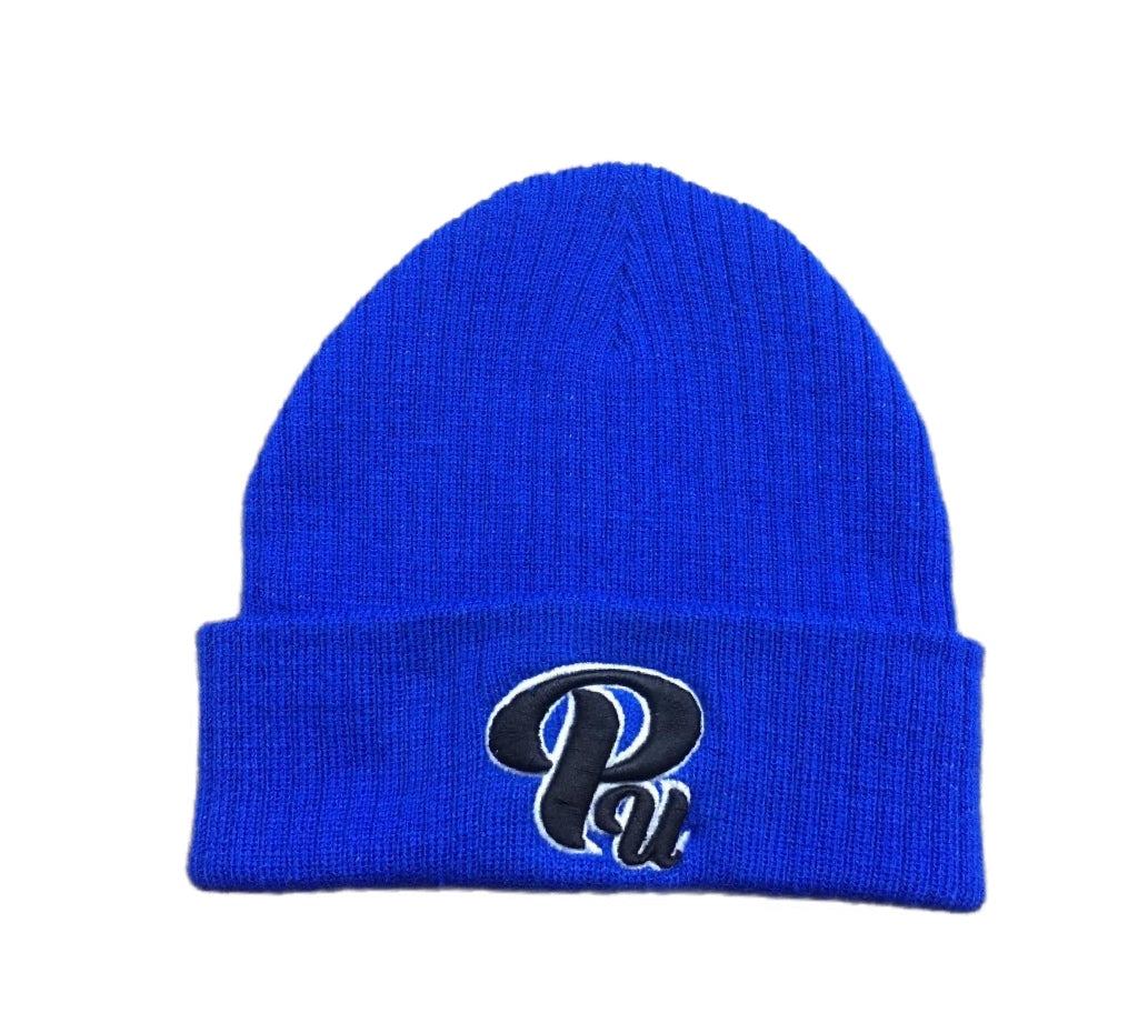 Paradon Logo Skull Cap