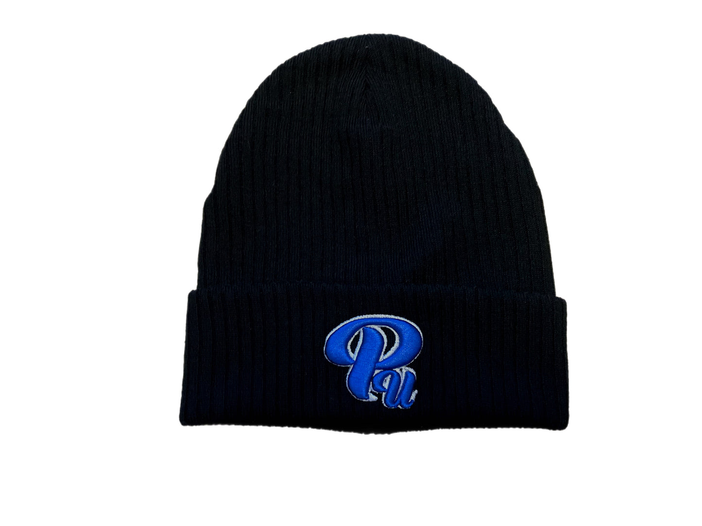 Paradon Logo Skull Cap