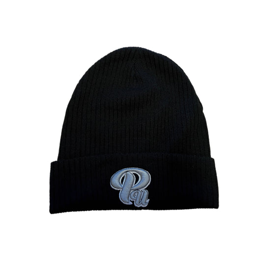 Paradon Logo Skull Cap